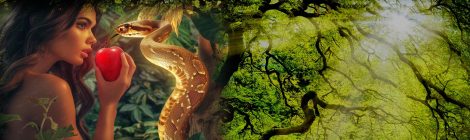 "I DO NOT PERMIT WOMEN TO TEACH"